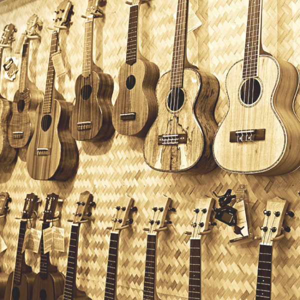 Complete Ukulele Learning - Beginner to Advance